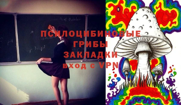 дживик Арсеньев