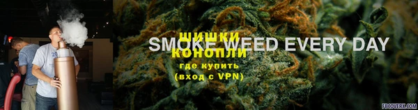 сатива Нефтекумск