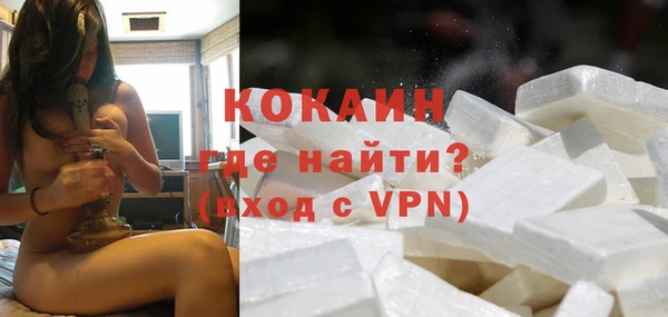 дживик Арсеньев