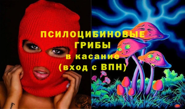 дживик Арсеньев