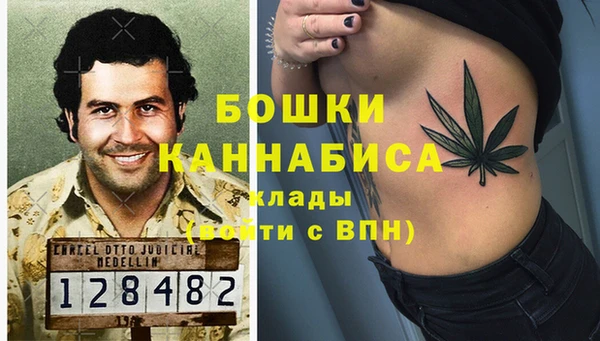 дживик Арсеньев