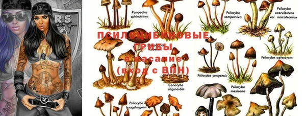 МДПВ Армянск