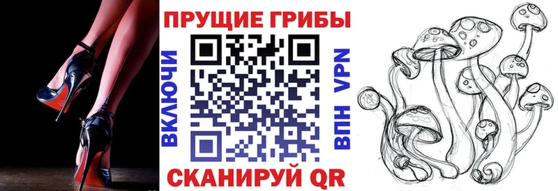 мега ТОР  Татарск  Галлюциногенные грибы MAGIC MUSHROOMS 